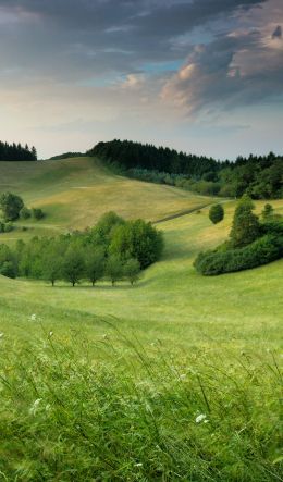 landscape, field, hill Wallpaper 600x1024