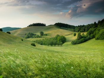 landscape, field, hill Wallpaper 800x600