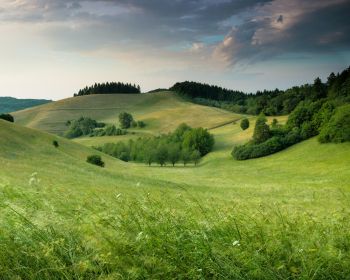 landscape, field, hill Wallpaper 1280x1024