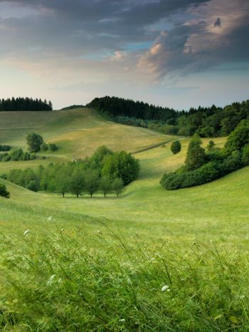 landscape, field, hill Wallpaper 1668x2224