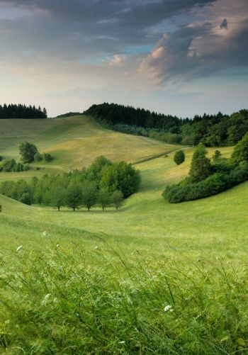landscape, field, hill Wallpaper 1668x2388