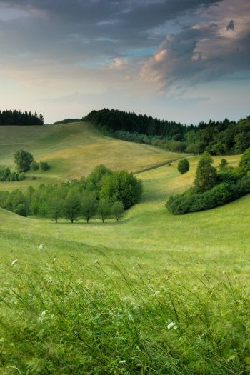 landscape, field, hill Wallpaper 640x960