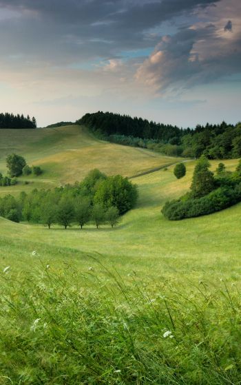 landscape, field, hill Wallpaper 1752x2800