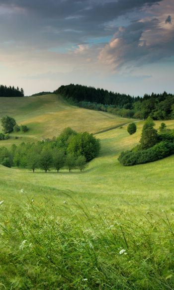 landscape, field, hill Wallpaper 1200x2000