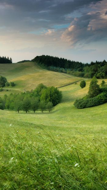 landscape, field, hill Wallpaper 640x1136