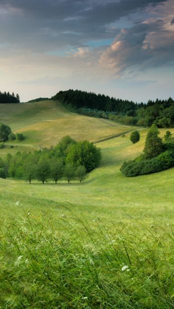 landscape, field, hill Wallpaper 720x1280