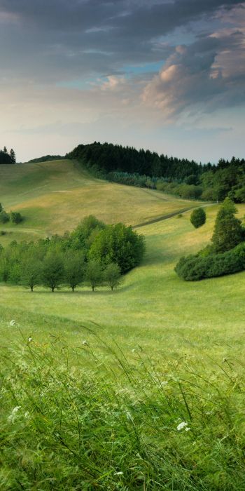 landscape, field, hill Wallpaper 720x1440