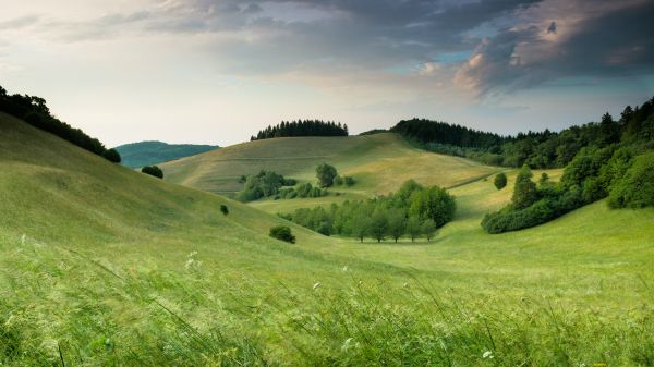 landscape, field, hill Wallpaper 1366x768