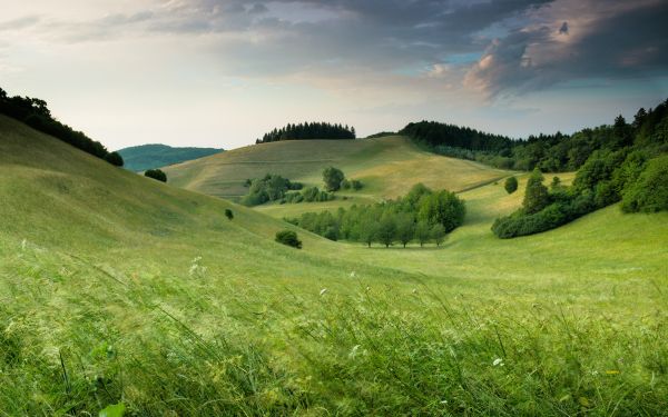 landscape, field, hill Wallpaper 1920x1200