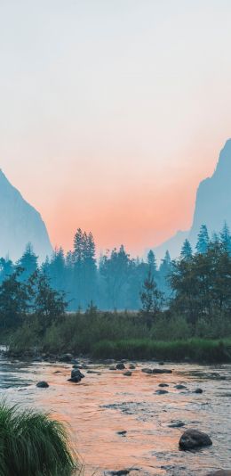 Yosemite National Park, USA, landscape Wallpaper 1440x2960
