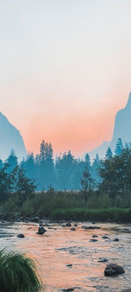 Yosemite National Park, USA, landscape Wallpaper 1440x3200