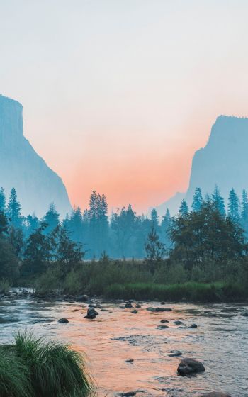 Yosemite National Park, USA, landscape Wallpaper 1600x2560