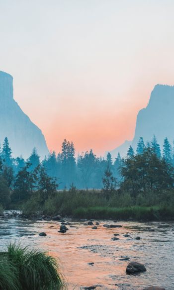 Yosemite National Park, USA, landscape Wallpaper 1200x2000