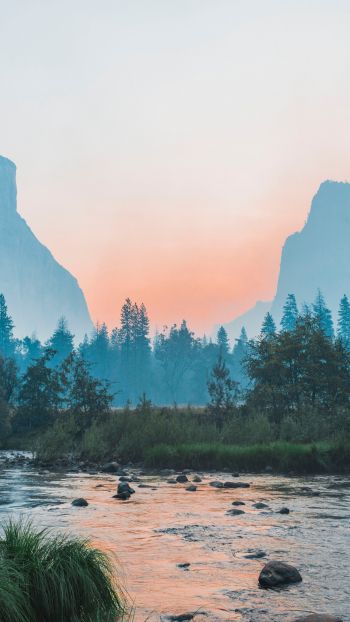 Yosemite National Park, USA, landscape Wallpaper 1440x2560
