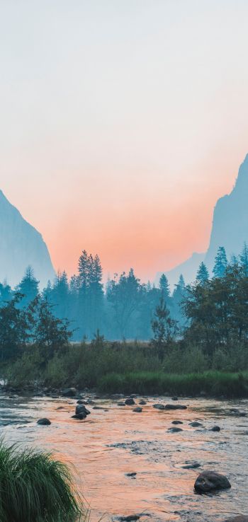 Yosemite National Park, USA, landscape Wallpaper 1440x3040