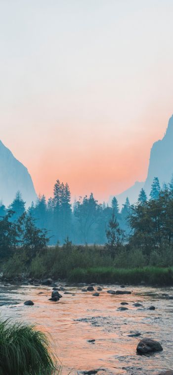 Yosemite National Park, USA, landscape Wallpaper 1125x2436