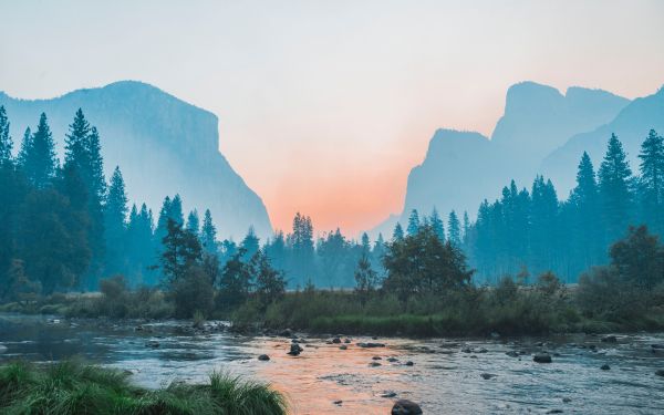 Yosemite National Park, USA, landscape Wallpaper 1920x1200