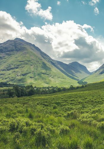 valley, hills, Scotland Wallpaper 1668x2388