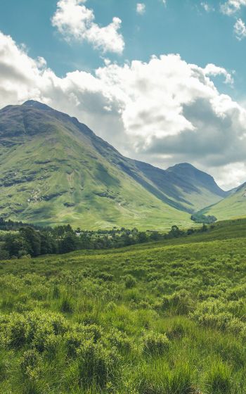 Обои 1200x1920 долина, холмы, Шотландия
