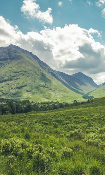 valley, hills, Scotland Wallpaper 1200x2000