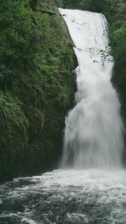 Oregon, USA Wallpaper 640x1136