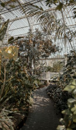 National Botanic Garden, Glasnevin, Dublin 9, Ireland Wallpaper 600x1024