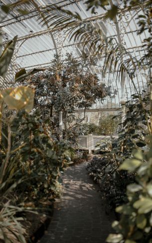 National Botanic Garden, Glasnevin, Dublin 9, Ireland Wallpaper 1752x2800