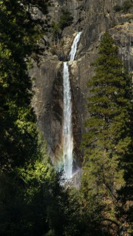 Обои 750x1334 Канада, водопад в лесу