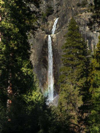 Canada, waterfall in the forest Wallpaper 1668x2224