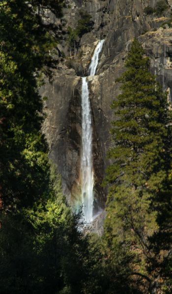 Canada, waterfall in the forest Wallpaper 600x1024