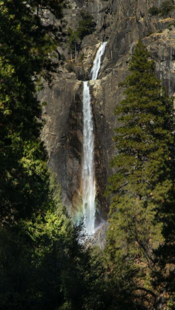 Canada, waterfall in the forest Wallpaper 640x1136