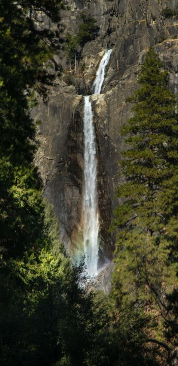 Canada, waterfall in the forest Wallpaper 1080x2220
