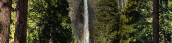 Canada, waterfall in the forest Wallpaper 1590x400
