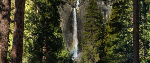 Canada, waterfall in the forest Wallpaper 2560x1080