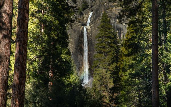 Canada, waterfall in the forest Wallpaper 2560x1600