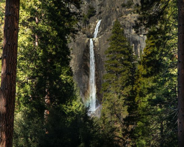 Обои 1280x1024 Канада, водопад в лесу