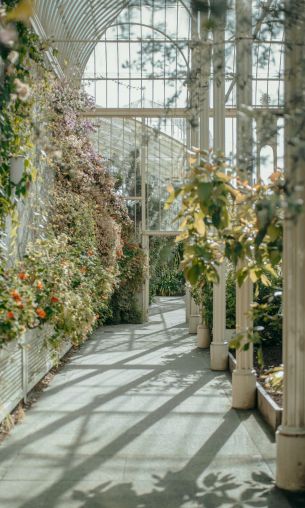 National Botanic Garden, Glasnevin, Dublin Wallpaper 1200x2000