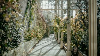 National Botanic Garden, Glasnevin, Dublin Wallpaper 2560x1440