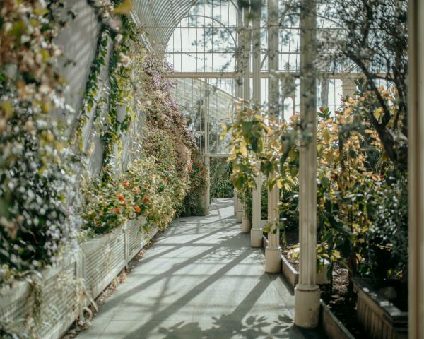 National Botanic Garden, Glasnevin, Dublin Wallpaper 1280x1024