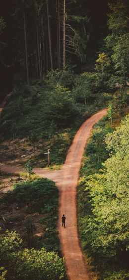 man in the forest Wallpaper 828x1792