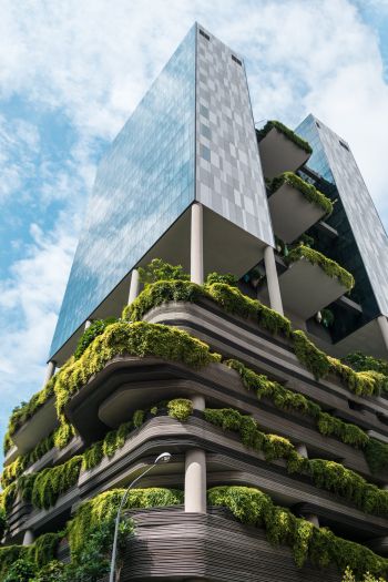 Обои 640x960 Сингапур, здание с растениями