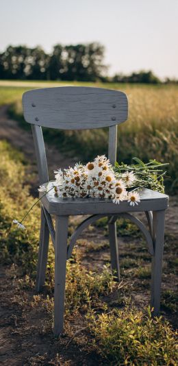 chair with daisies Wallpaper 1440x2960