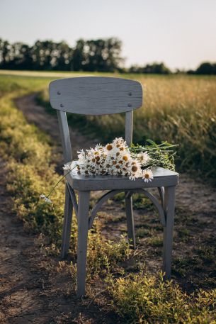 chair with daisies Wallpaper 4010x6015