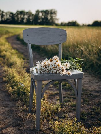 chair with daisies Wallpaper 1620x2160