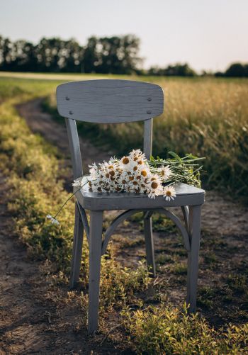 chair with daisies Wallpaper 1668x2388