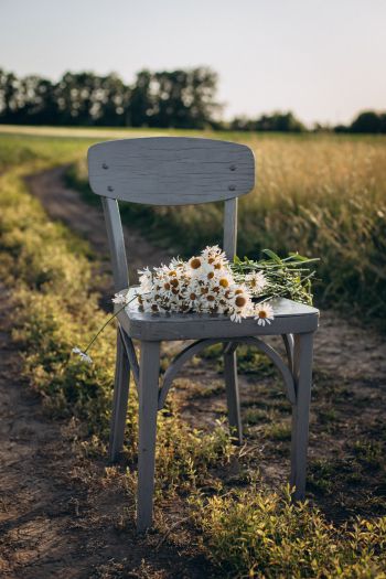 chair with daisies Wallpaper 640x960