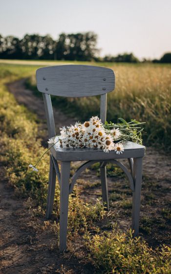 chair with daisies Wallpaper 800x1280