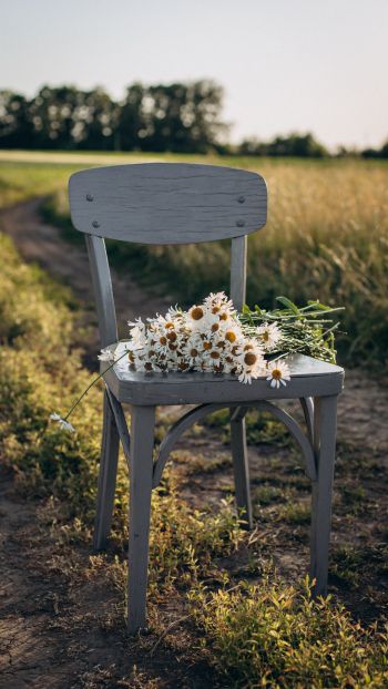 chair with daisies Wallpaper 1080x1920