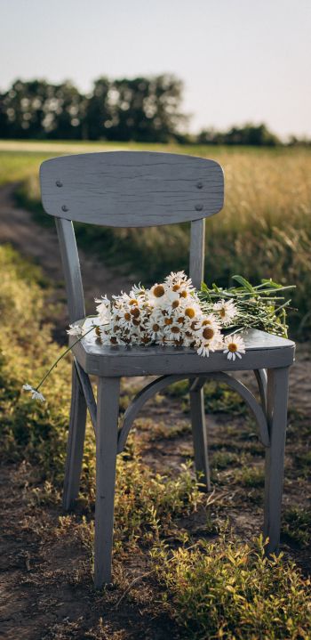 chair with daisies Wallpaper 1440x2960