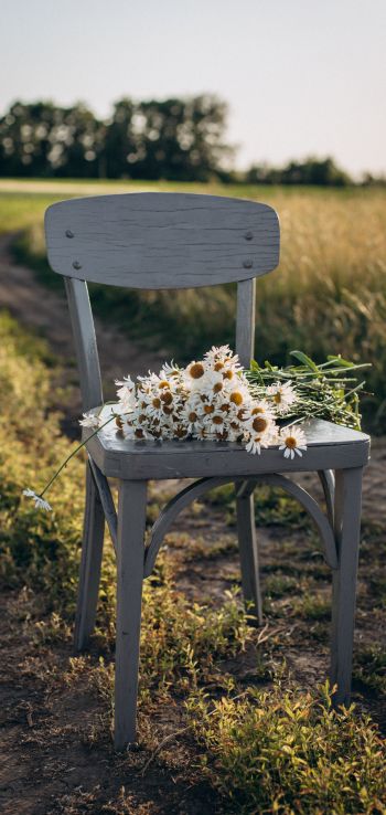 chair with daisies Wallpaper 1440x3040